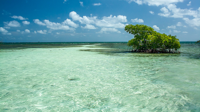 Croisière de luxe aux Caraibes