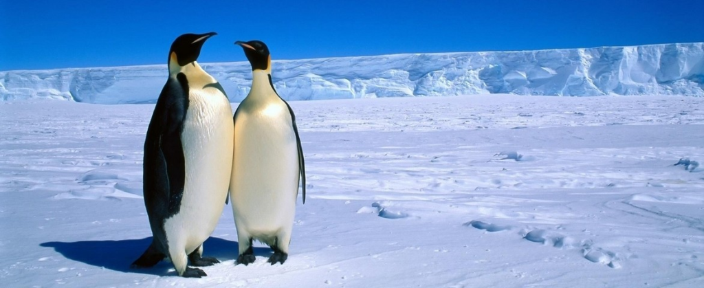 Croisière de luxe en Antarctique