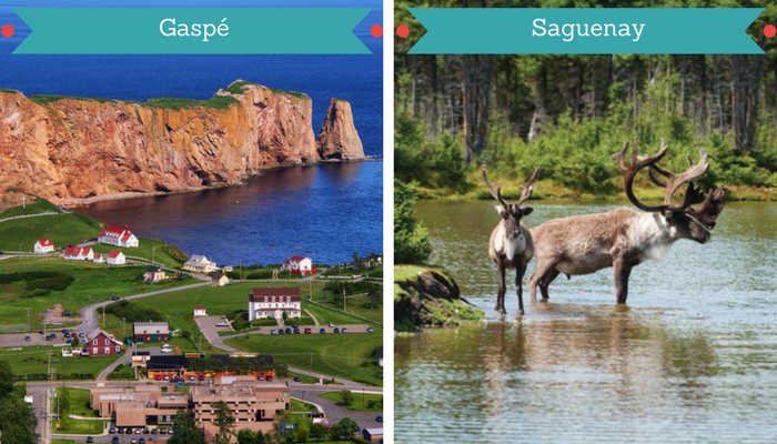 Croisière haut de gamme en Gaspé, Québec, Canada