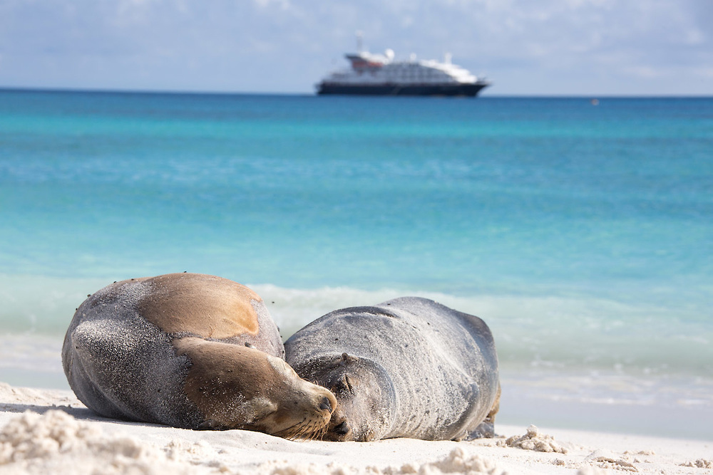 Croisière aux Galápagos