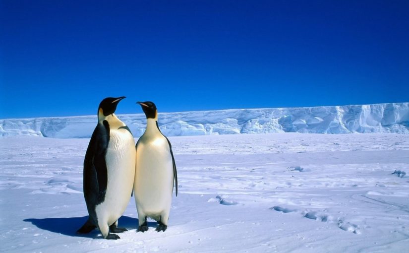 Partez au Bout du Monde en Croisière de Luxe !