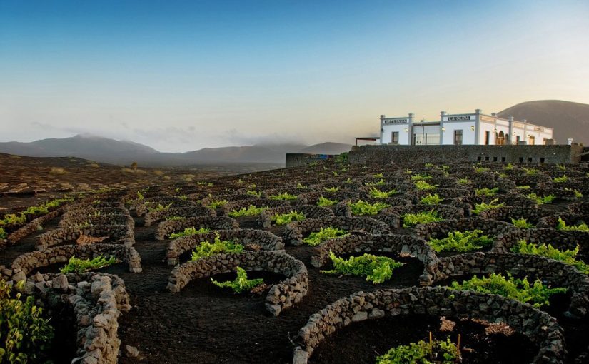 Offrez-vous une croisière de prestige à destination des îles Canaries !