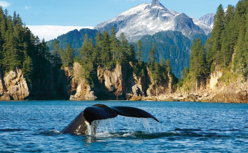 Croisière de luxe en Alaska avec Seabourn