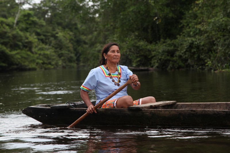 Croisière sur l'Amazone, des rencontres extraordinaires