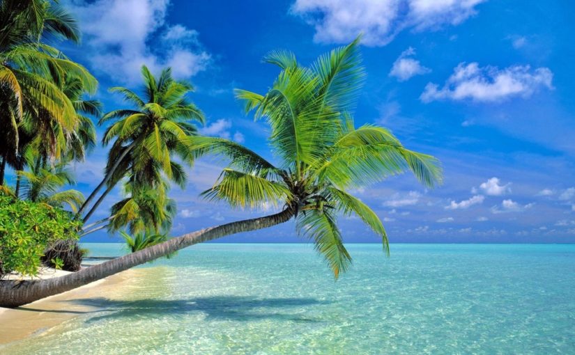 Le Paradis vous Attend dans les Îles du Bout du Monde !