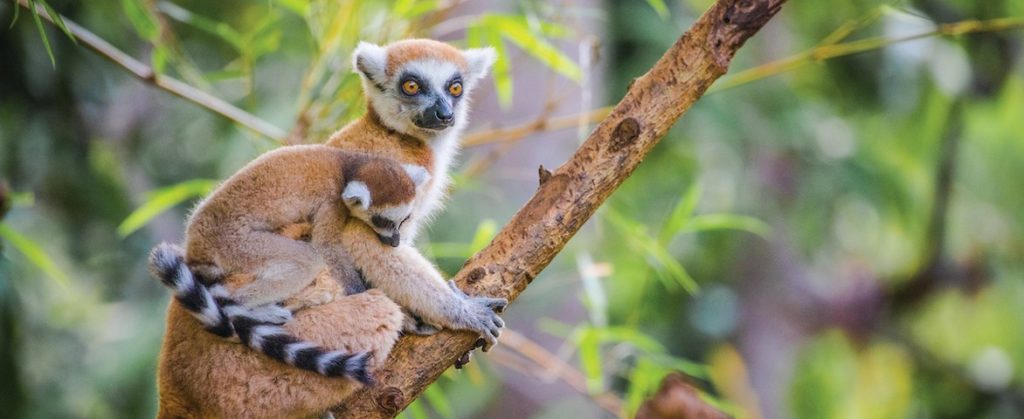 Croisière de luxe à Nosy Be, Madagascar