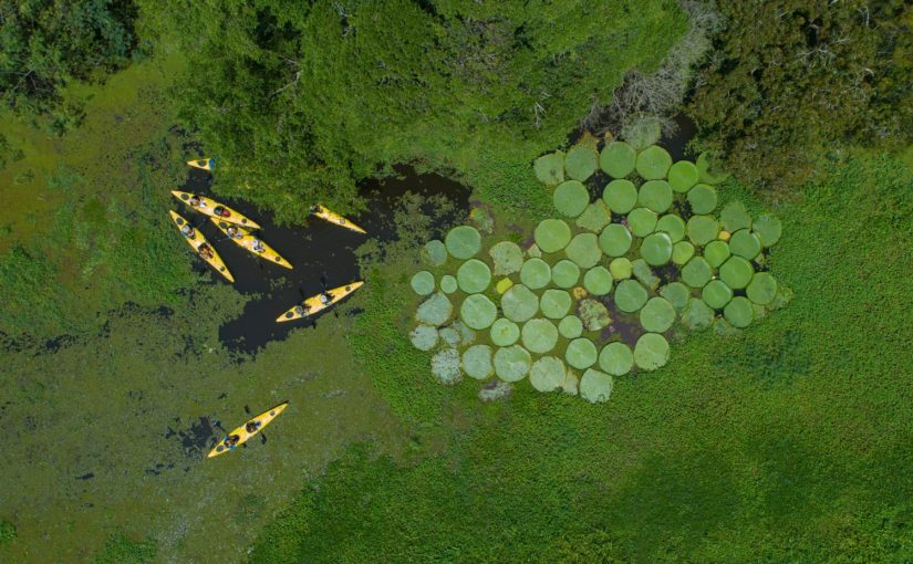 L’Amazonie à bord d’une Croisière prestigieuse Seabourn