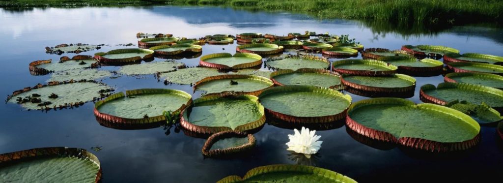 Croisière de luxe Seabourn - Iquitos, la perle de l’Amazonie