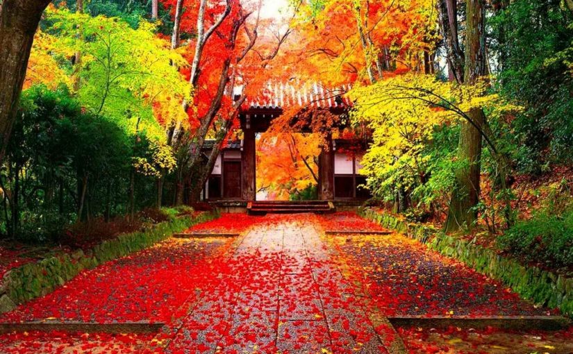 Une Croisière Prestigieuse dans la Nature Japonaise