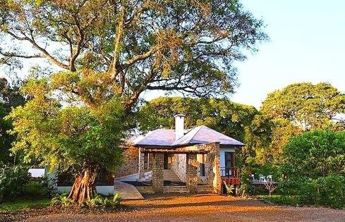 safari avant/après croisière