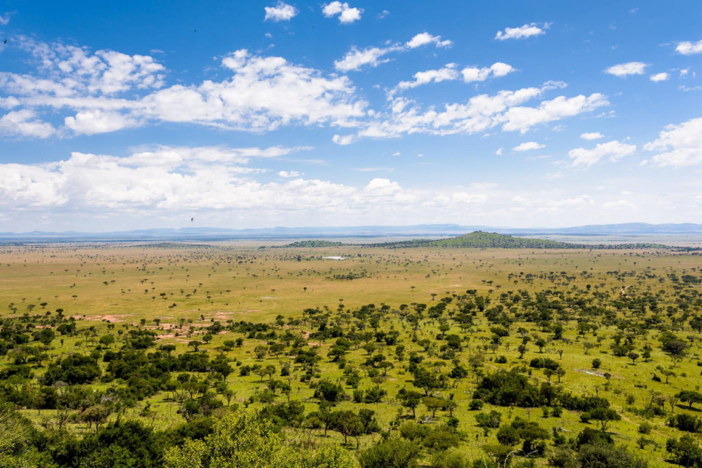 Dernier jour du safari