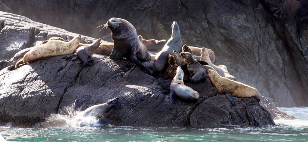 Croisières Seabourn en Alaska