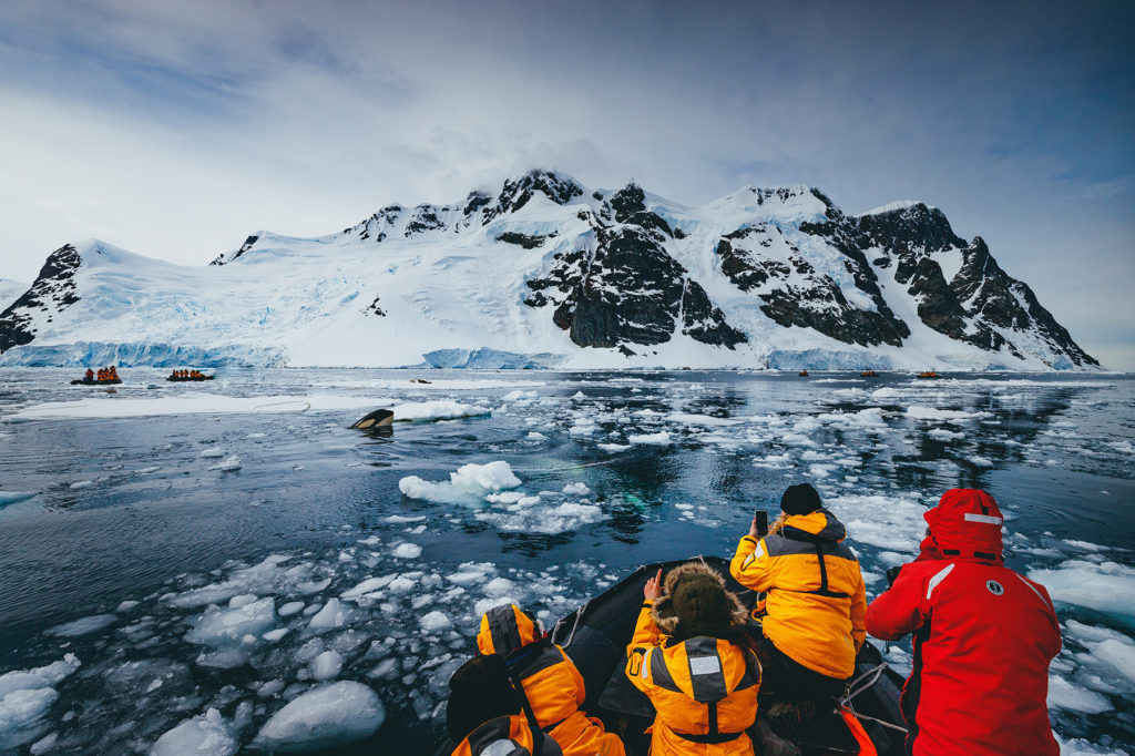 Découvrir l'Antarctique en croisière de luxe avec Quark Expeditions