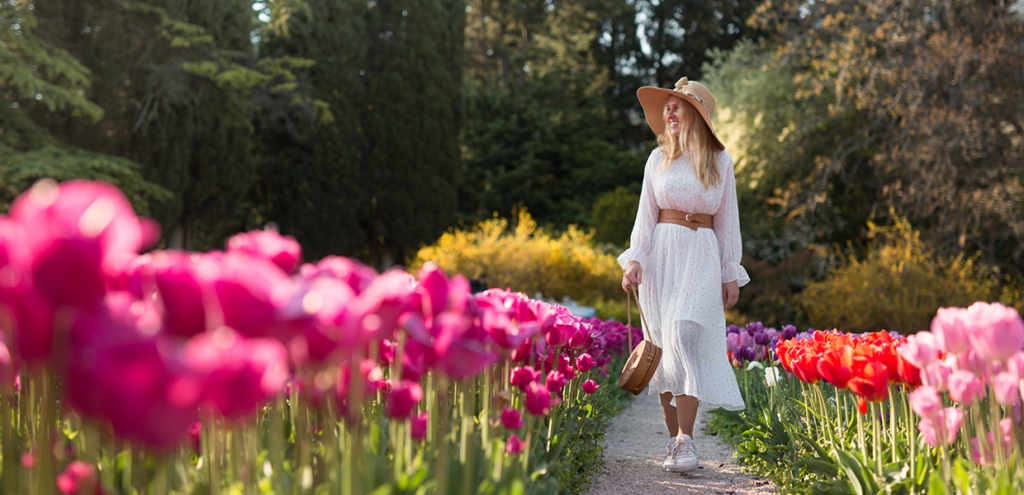 Sérénade aux tulipes