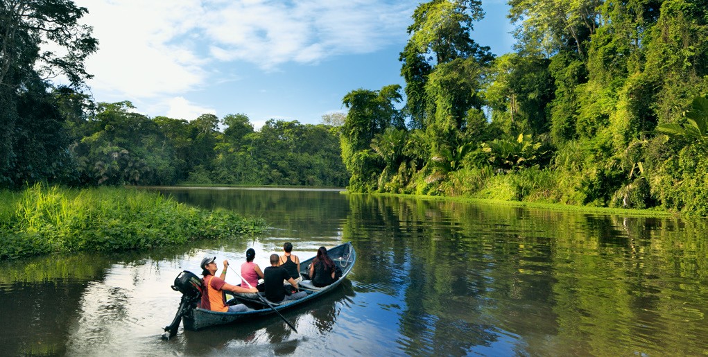 Découverte de forêts luxuriantes lors d'une croisière aux Caraïbes