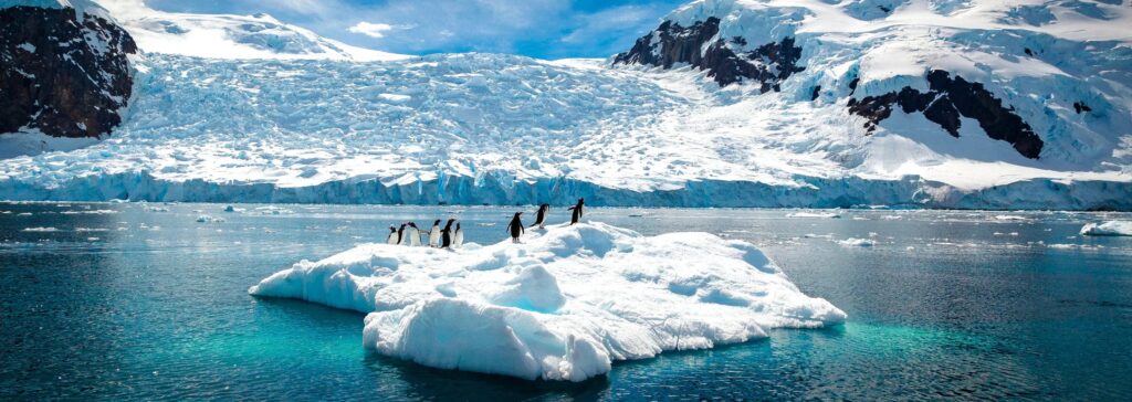 Croisières expéditionnaires en Antarctique