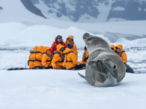 Antarctique Borgen Bay