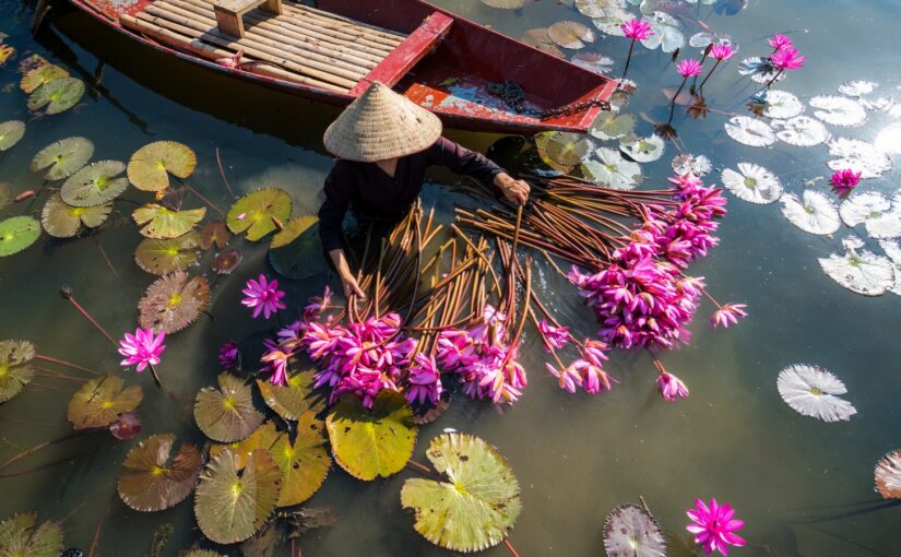 Oceania Cruises offre de surclassement