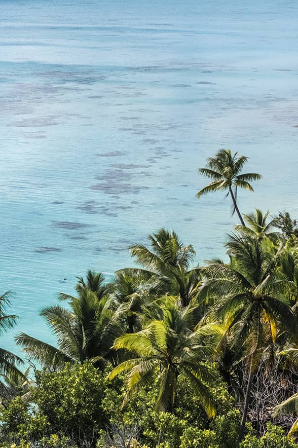 Polynésie secrète : Tuamotus inédits, îles Gambier et îles Australes