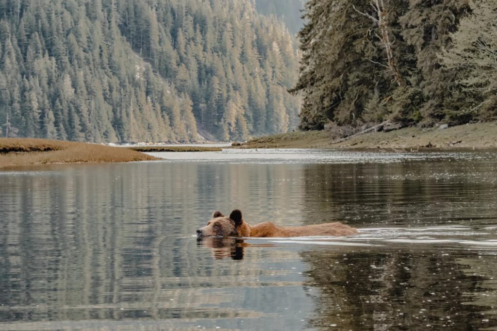 L'Alaska avec Explora Journeys