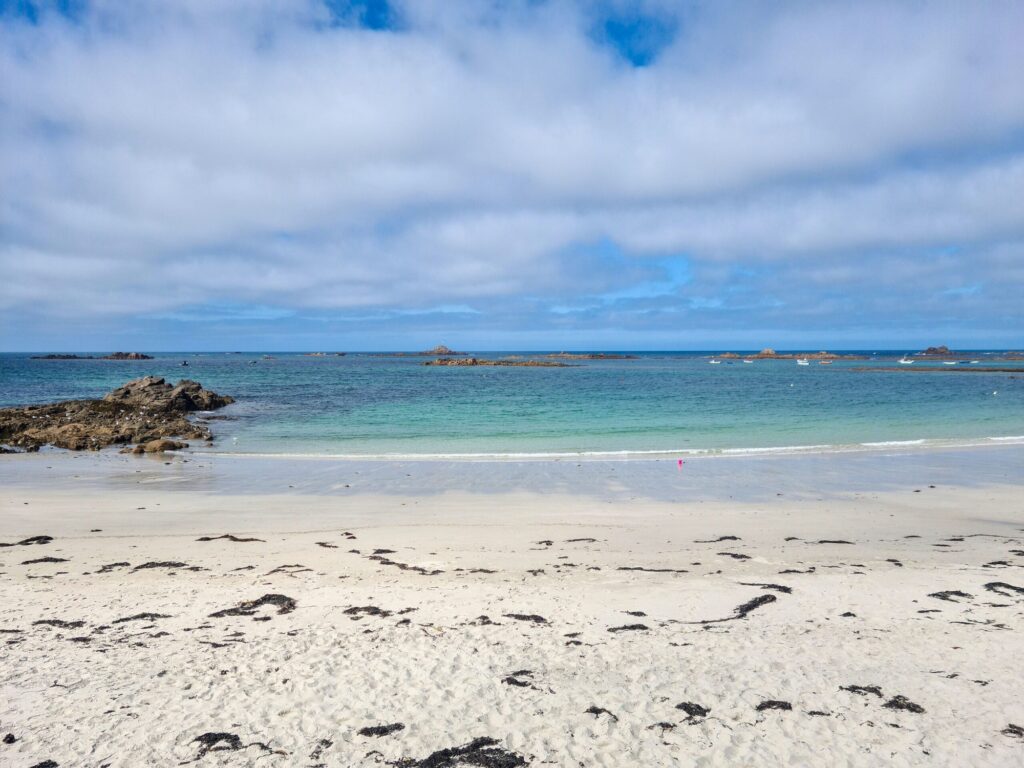 Les algues peuvent sembler être un fléau sur la plage, mais à Guernesey, elles sont considérées comme un superaliment./Shutterstock