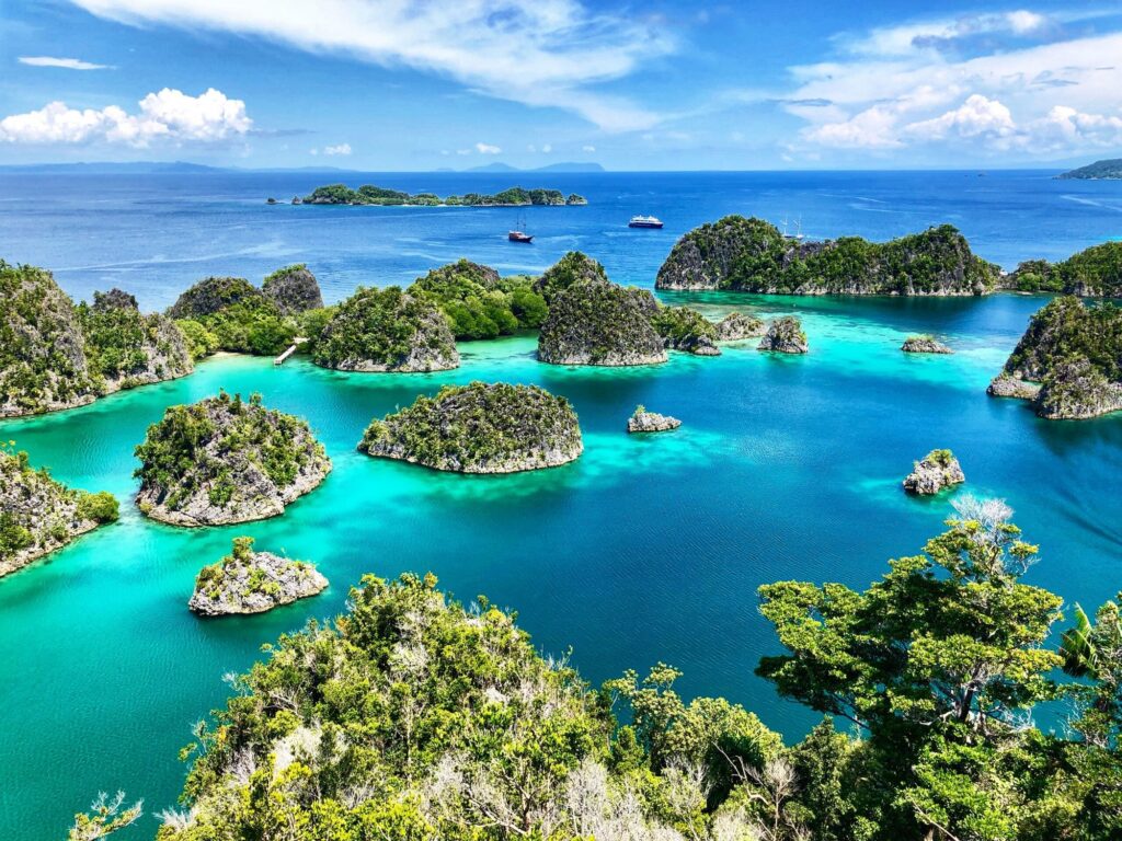 Vue de l'île de Penemu à Raja Ampat, en Indonésie/Shutterstock