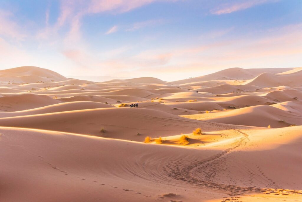 Une balade à dos de chameau dans le Sahara marocain / Getty Images