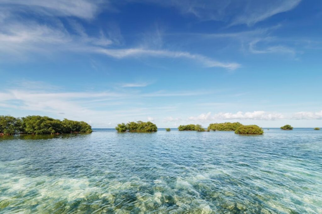 Découvrez ces destinations en croisière ultra-luxe : Canada, Nouvelle-Angleterre et Caraïbes