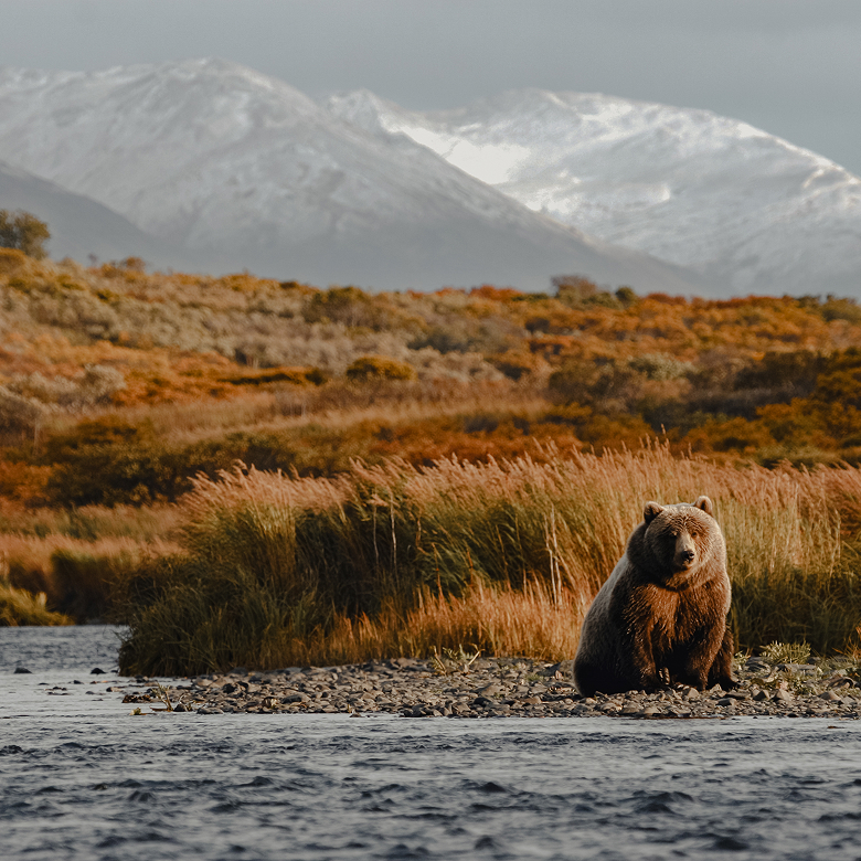 Croisières de luxe Explora Journeys en Alaska