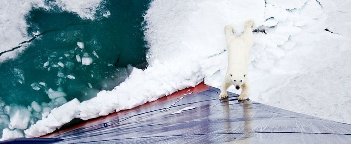 LES CROISIÈRES DE LUXE ARCTIQUE