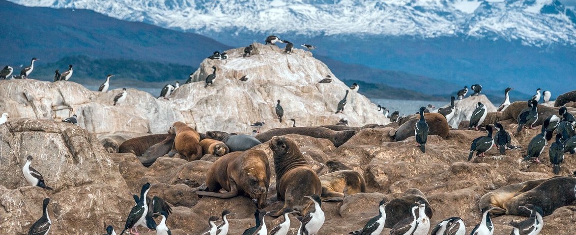 Croisière de luxe Quark Expeditions de Ushuaia à Ushuaia en février 2026