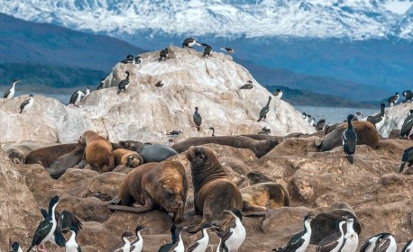 Croisière de luxe Quark Expeditions de Ushuaia à Ushuaia en décembre 2024