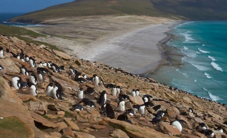 Croisière de luxe Silversea Cruises de Puerto williams à Le cap en mars 2026