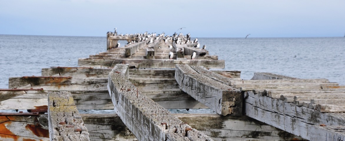 Croisière de luxe Quark Expeditions de Punta arenas à Île du roi-george en mars 2026