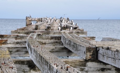 Croisière de luxe Quark Expeditions de Punta arenas à Île du roi-george en janvier 2025