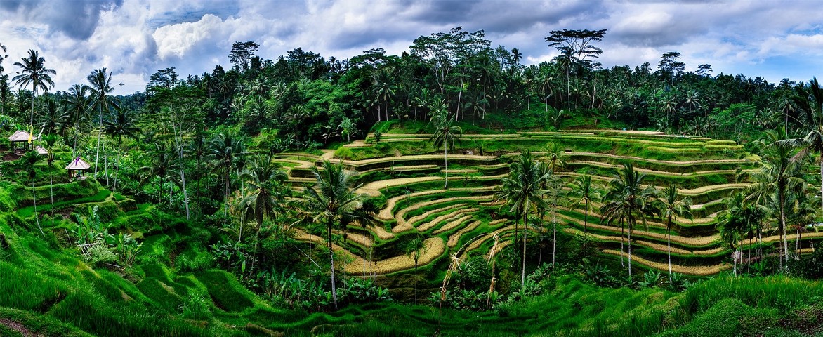 Croisière de luxe Oceania Cruises de Benoa (bali) à Honolulu en juin 2025