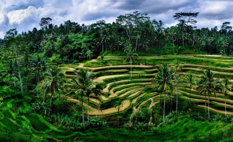 Croisière de luxe Oceania Cruises de Benoa (bali) à Honolulu en juin 2025