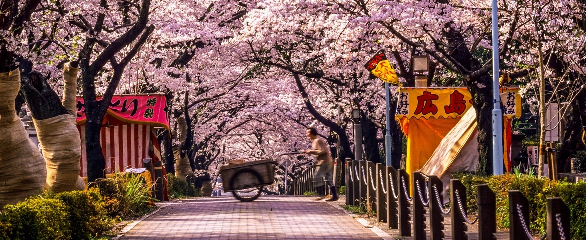 Croisière de luxe Oceania Cruises de Tokyo à Tokyo en avril 2025