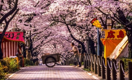 Croisière de luxe Regent Seven Seas Cruises de Tokyo à Tokyo en avril 2024