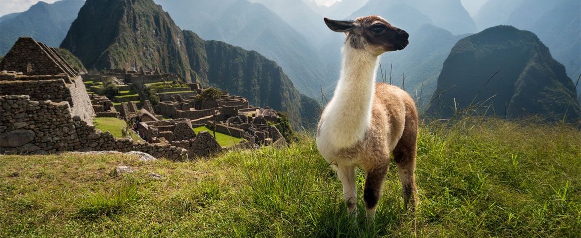 Croisière de luxe Silversea Cruises de Lima (machu picchu) à Lima (machu picchu) en janvier 2026