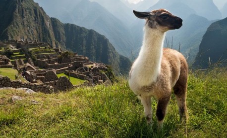 Croisière de luxe Oceania Cruises de Lima (machu picchu) à Rio de janeiro en décembre 2024