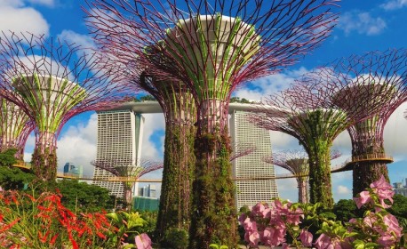 Croisière de luxe Oceania Cruises de Singapour à Le cap en avril 2024