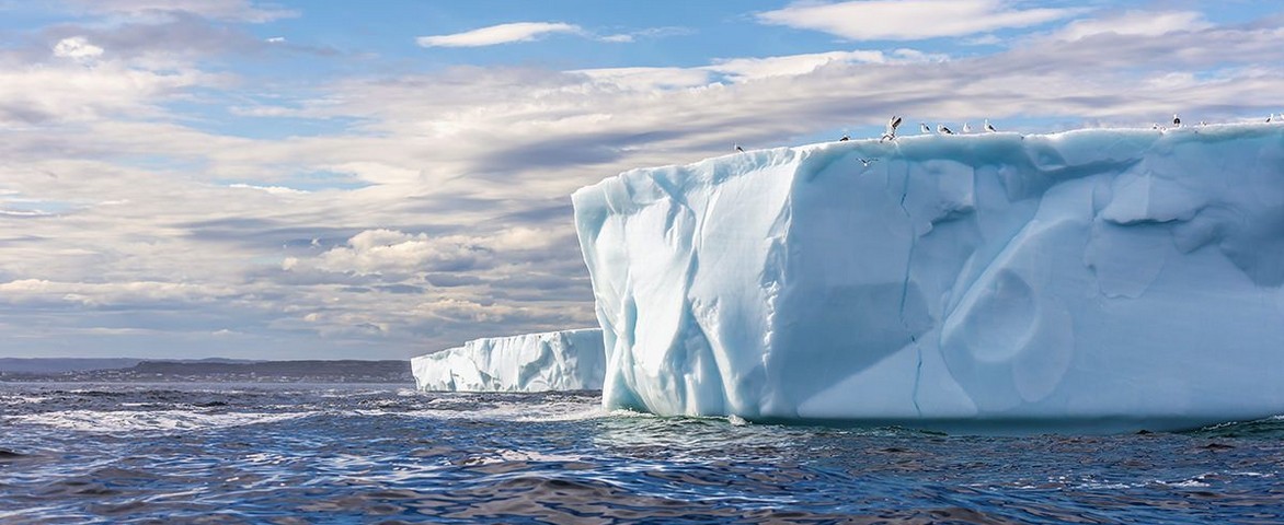 Croisière de luxe Silversea Cruises de Île du roi-george à Île du roi-george en décembre 2024