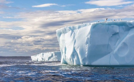 Croisière de luxe Silversea Cruises de Île du roi-george à Île du roi-george en novembre 2025