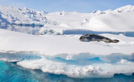 Croisière de luxe Silversea Cruises de Île du roi-george à Puerto williams en janvier 2025