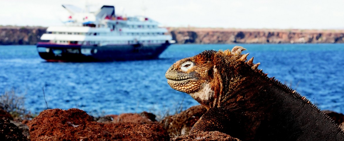 Baltra, Galapagos Equateur