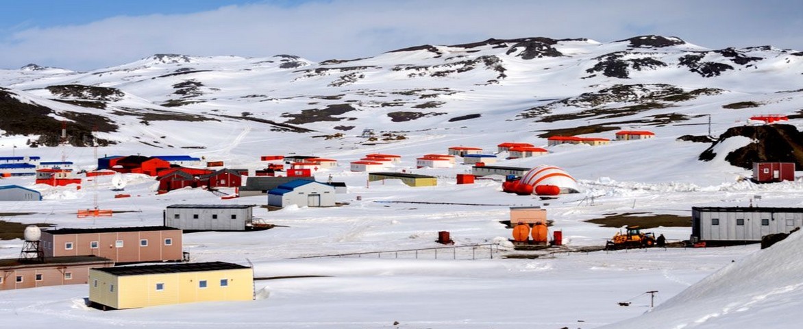 Île du Roi-George Antarctique